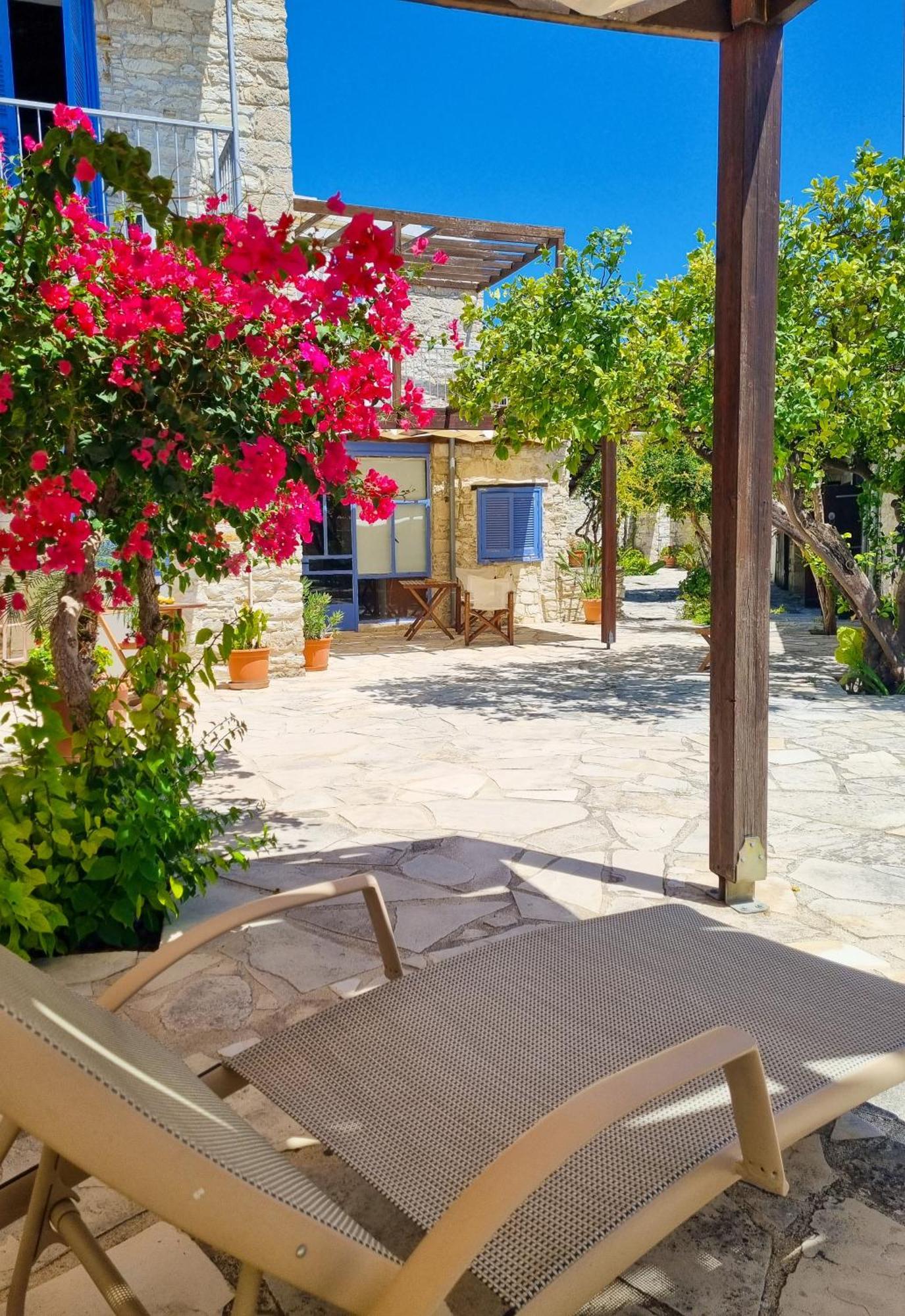 Athena'S Pool Oasis Apartment Skarinou Exterior foto