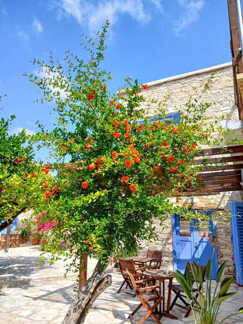 Athena'S Pool Oasis Apartment Skarinou Exterior foto