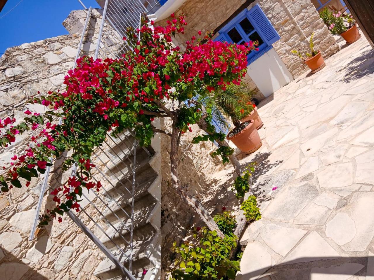 Athena'S Pool Oasis Apartment Skarinou Exterior foto